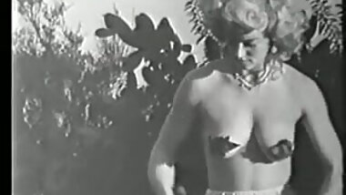 Broom, Rakes, Pruner vs Trash, Cocks, Bushes