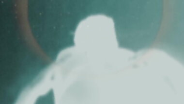 CATALEPTIC CANVAS: SIX