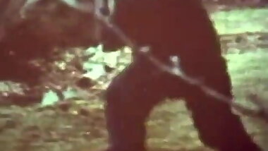 The Most Original Pick-up Ever (1960s Vintage)