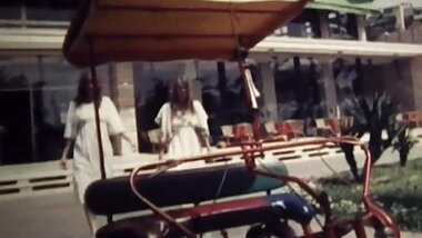 Geil unter Palmen (Viola Film)