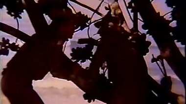 Abre as pernas coracao (1985)